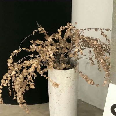 Furry插画构图实用思路兽圈社群